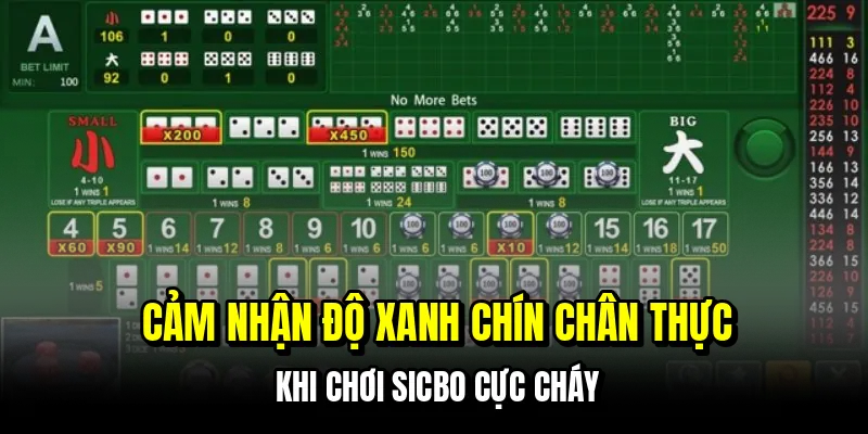 Cảm nhận độ xanh chín chân thực khi chơi sicbo cực cháy